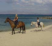 Naxos Horseback Riding centre