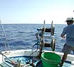 Fishing in Milos