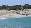 Alyko beach, Naxos