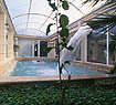 Coral Hotel - Athens