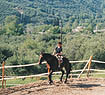 Avdou Villas - Heraklio