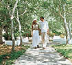 Cretan Village - Taking a Walk
