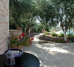 The Garden