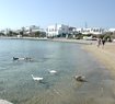 Artemis Hotel - Antiparos Island