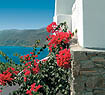 Archipelagos Hotel - Mykonos Island
