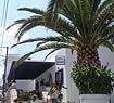 ADONIS Hotel in Naxos 