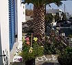 ADONIS Hotel in Naxos 