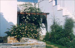 Alkyoni Beach Hotel