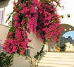 Ammos Studios - Naxos Island