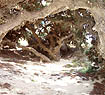Mikri Vigla Area - Naxos Island