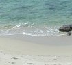 Kastraki Beach