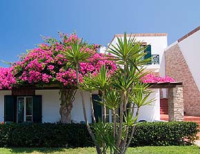 Porto Naxos Hotel