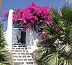 agia irini villas