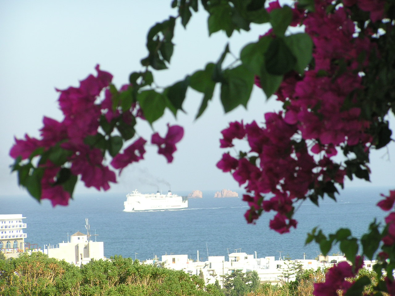 Paros Villa 