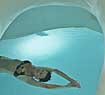 Aqua Deluxe Suite