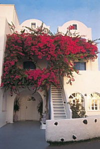 Melina Hotel - Santorini Island