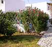 Amalia Studios - Serifos Island