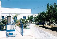 Nikos Pension - Apollonia - Sifnos island - Cyclades - Greece