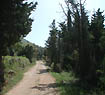 ACCESS TO THE VILLA
