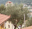 Villa Eleni - Ithaca Island