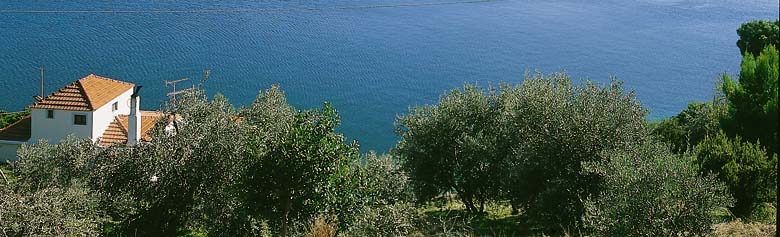 This is the view from Fisherman's Cottage. This is the view from Fisherman's Cottage.