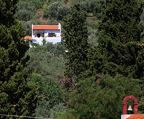 view