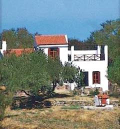 Vilas  Raches (above skopelos town), Skopelos