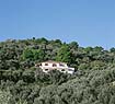 the villa