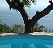 swimming pool view
