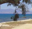 Partial view of Kastraki beach in Naxos island