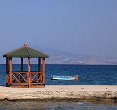 Salamina Salamina