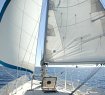THE SAILING BOAT