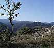 Trikala Prefecture