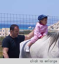 Naxos Horseback Riding, Kastraki beach area