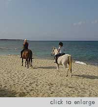 Naxos Horseback Riding, Kastraki beach area