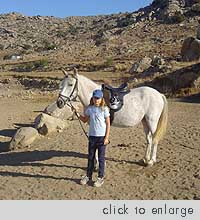 Naxos Horseback Riding, Kastraki beach area
