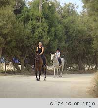 Naxos Horseback Riding, Kastraki beach area
