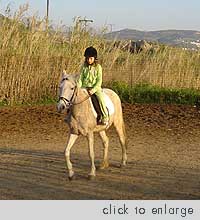 Naxos Horseback Riding, Kastraki beach area