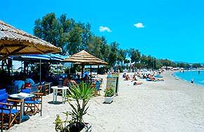 studios in Naxos Town, Naxos