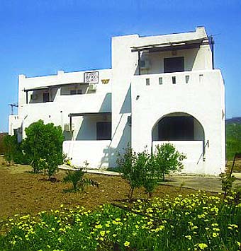 studios and apartments in Plaka Beach, Naxos