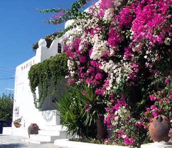 Studios in Parasporos, Paros