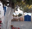 Floras Rooms in Pollonia, Milos