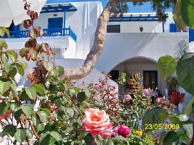 Hotels in Naxos Town, Naxos
