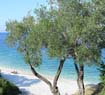 lefkas lower villa - Paxos Island
