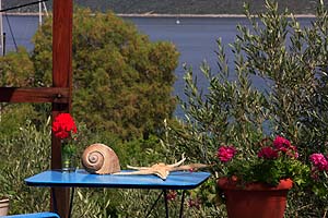 Limani Cottage 