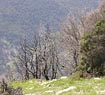 Mountain range in Central Greece