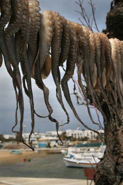 Enjoy the sun-dried octopus with ouzo