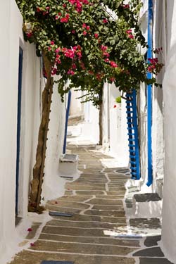 Ios photo of a narrow alley