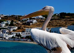 mykonos island