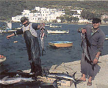 Fishermen in Sifnos